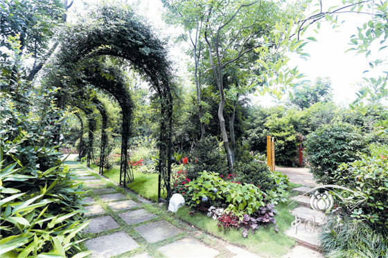 电竞比赛押注app