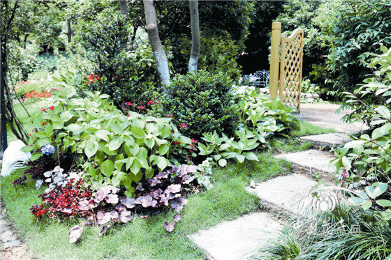 电竞比赛押注app