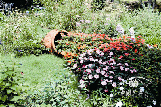 电竞比赛押注app