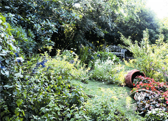 电竞比赛押注app