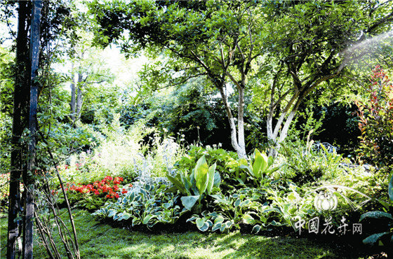 电竞比赛押注app