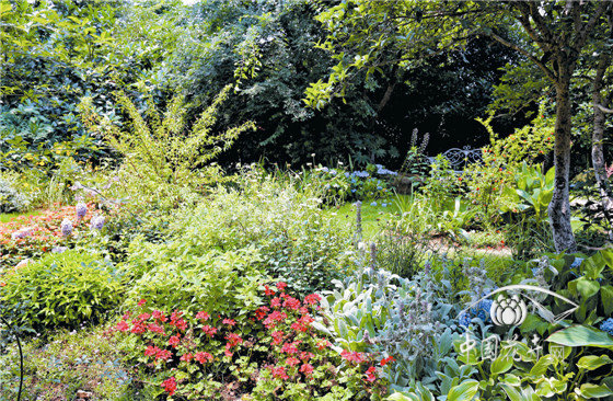 电竞比赛押注app