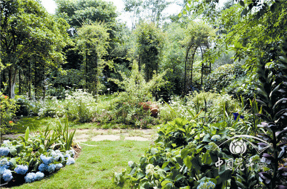 电竞比赛押注app