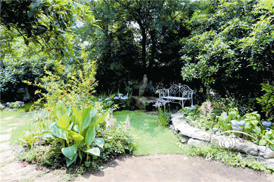 电竞比赛押注app