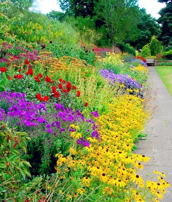 电竞比赛押注app