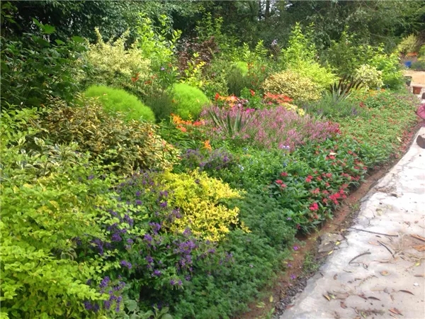 电竞比赛押注app