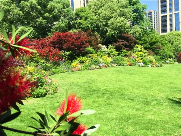 电竞比赛押注app