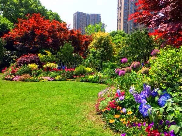 电竞比赛押注app