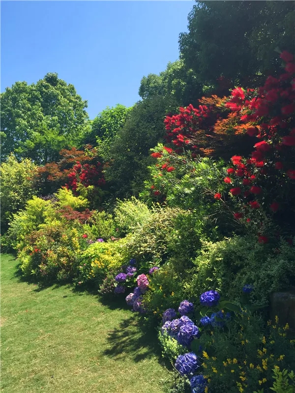 电竞比赛押注app