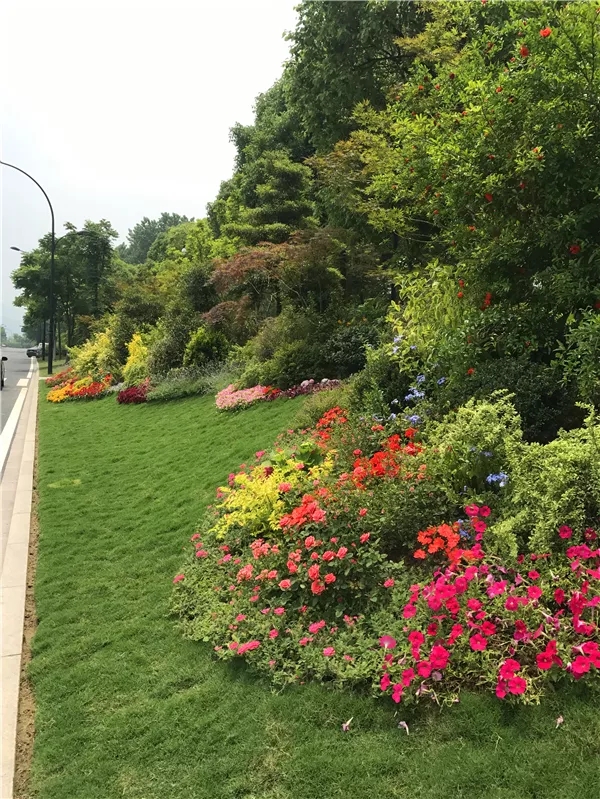 电竞比赛押注app