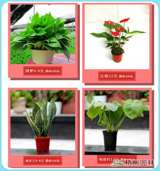 电竞比赛押注app