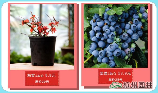 电竞比赛押注app