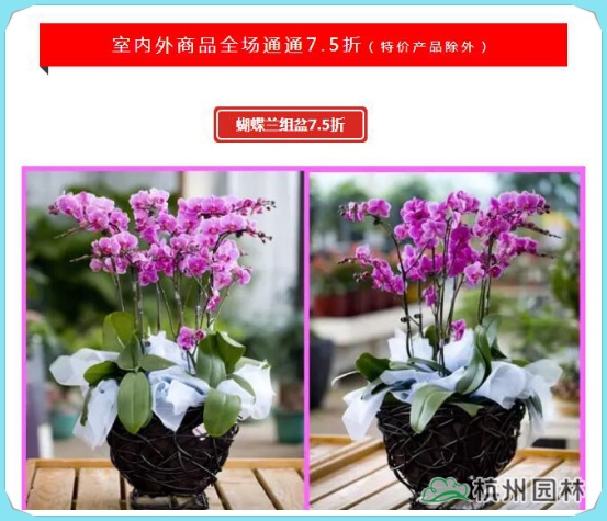 电竞比赛押注app