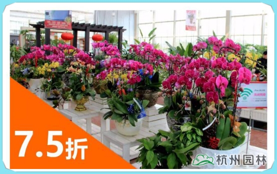 电竞比赛押注app