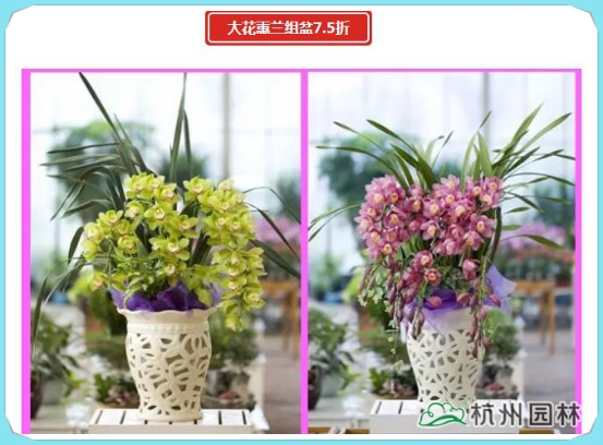 电竞比赛押注app