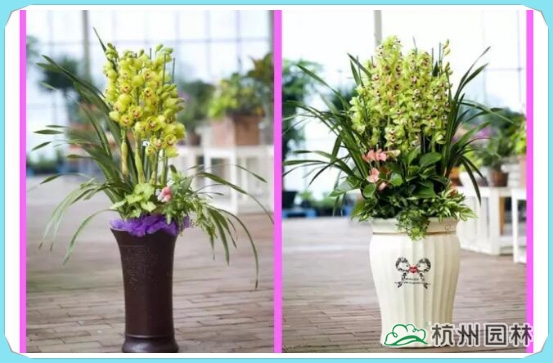 电竞比赛押注app