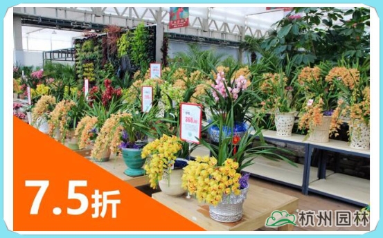 电竞比赛押注app