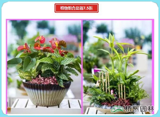 电竞比赛押注app