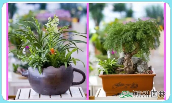 电竞比赛押注app