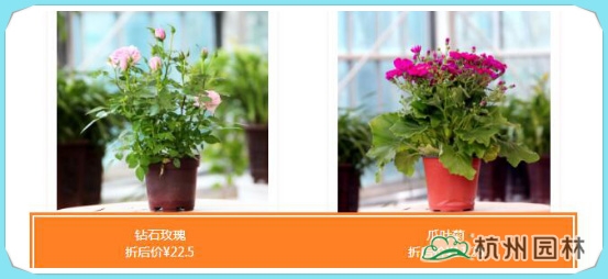 电竞比赛押注app