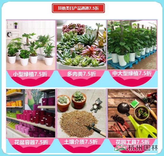 电竞比赛押注app