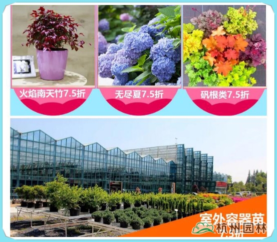 电竞比赛押注app