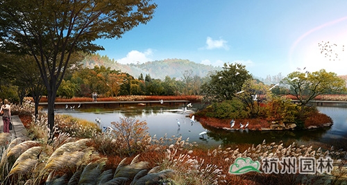 电竞比赛押注app