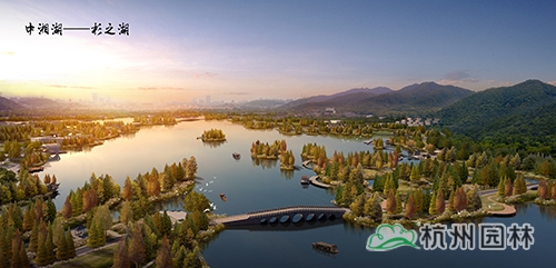 电竞比赛押注app