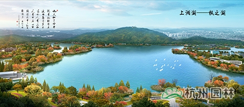 电竞比赛押注app