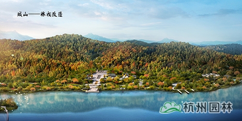 电竞比赛押注app