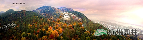 电竞比赛押注app