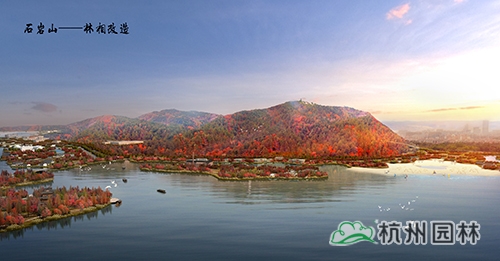 电竞比赛押注app