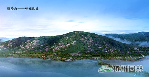 电竞比赛押注app