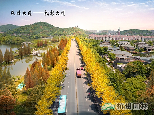 电竞比赛押注app