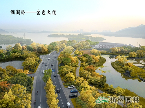 电竞比赛押注app