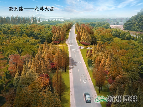 电竞比赛押注app