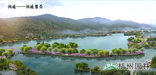 电竞比赛押注app