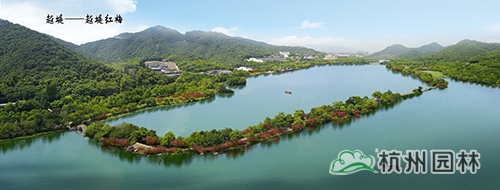 电竞比赛押注app