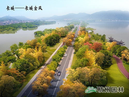 电竞比赛押注app