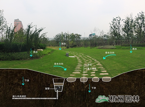 电竞比赛押注app