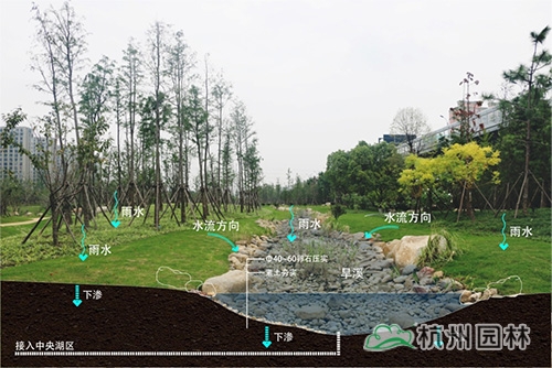电竞比赛押注app