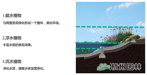 电竞比赛押注app