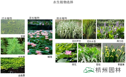 电竞比赛押注app