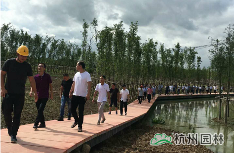 电竞比赛押注app