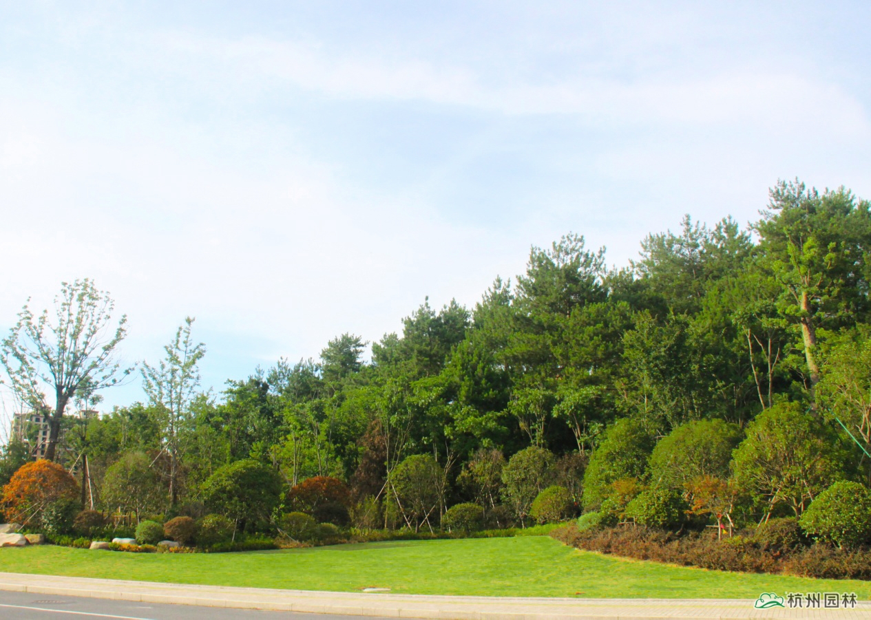 电竞比赛押注app