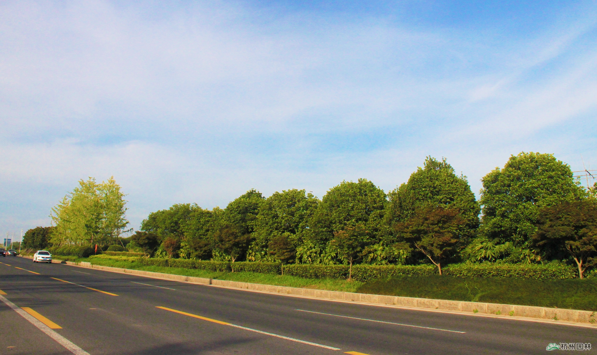 电竞比赛押注app