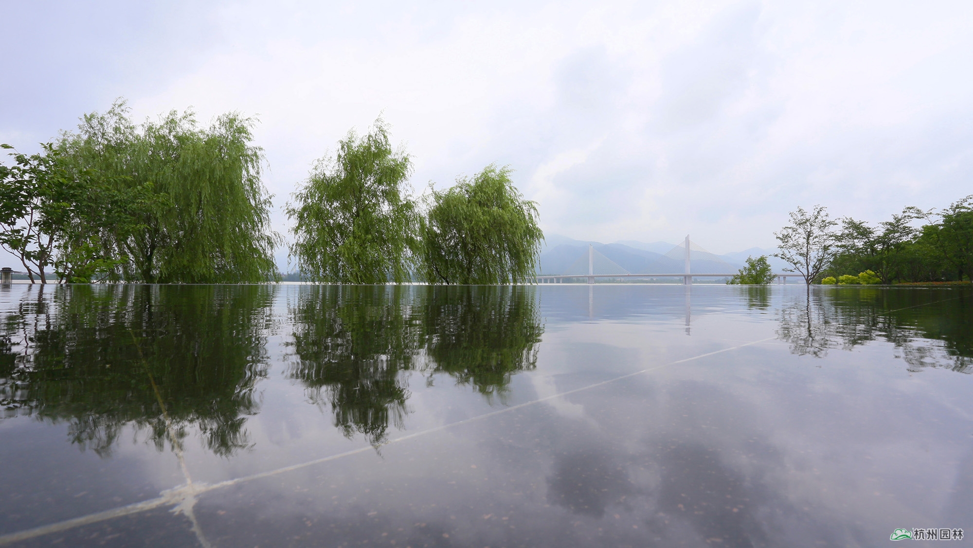 电竞比赛押注app