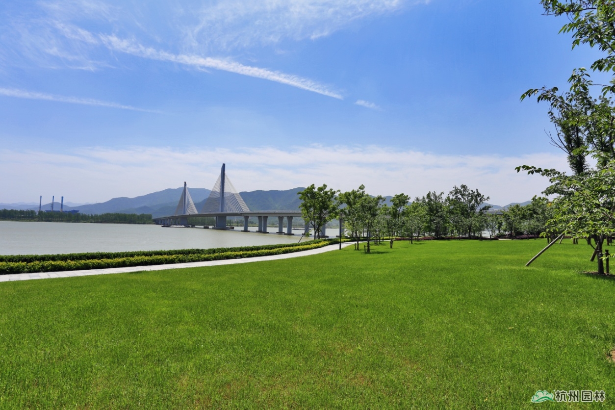 电竞比赛押注app