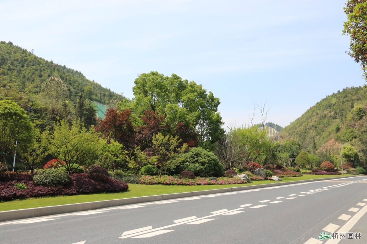 电竞比赛押注app