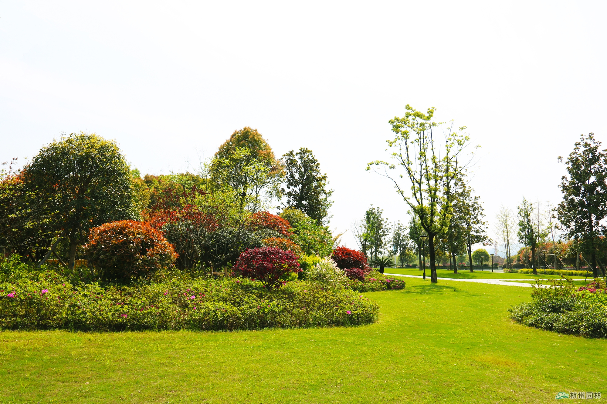 电竞比赛押注app